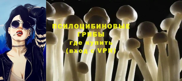 ешки Бугульма