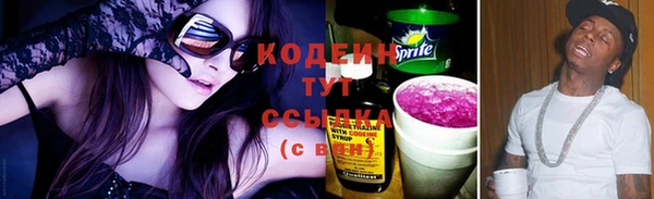 apvp Богданович