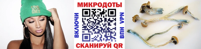 Купить закладки  Фокино  Галлюциногенные грибы мицелий 